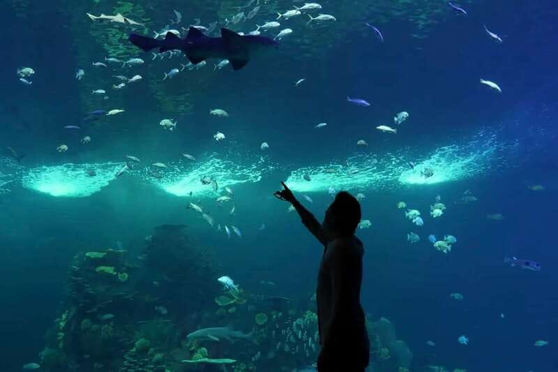 Mazatlan: Grand Aquarium Ticket and City Sightseeing Tour - 200+ species and the Mar de Cortés tank experience