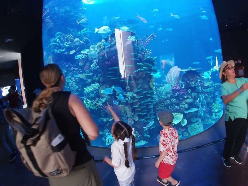 Mazatlan: Grand Aquarium Ticket and City Sightseeing Tour - Who this tour suits best, and who should think twice