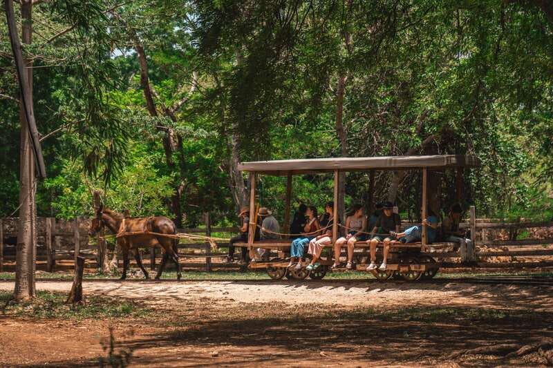 Merida: Hacienda Sotuta de Peon w/ Cenote & Henequen Tour - The one real watch-out: group dynamics