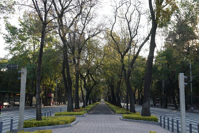 Mexico City: 19 City Highlights Bicycle Tour - Jalapa 272 start to Mexico Park: easing into the ride