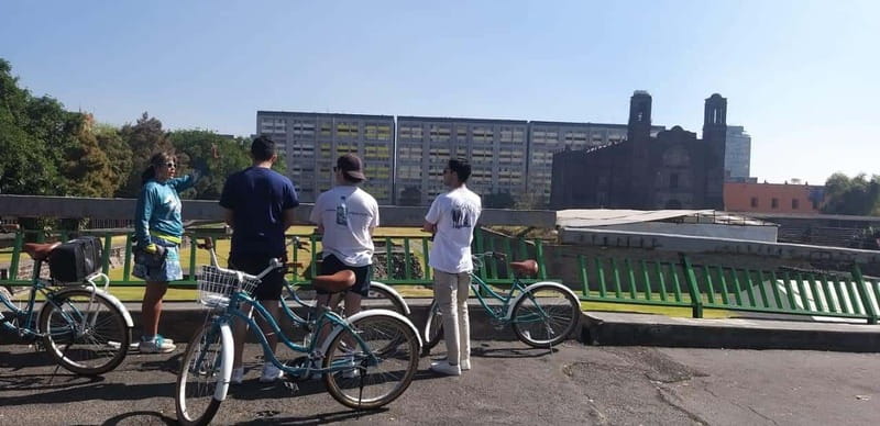 Mexico City: Art Naco, murals & street art bike tour - Who this tour is best for