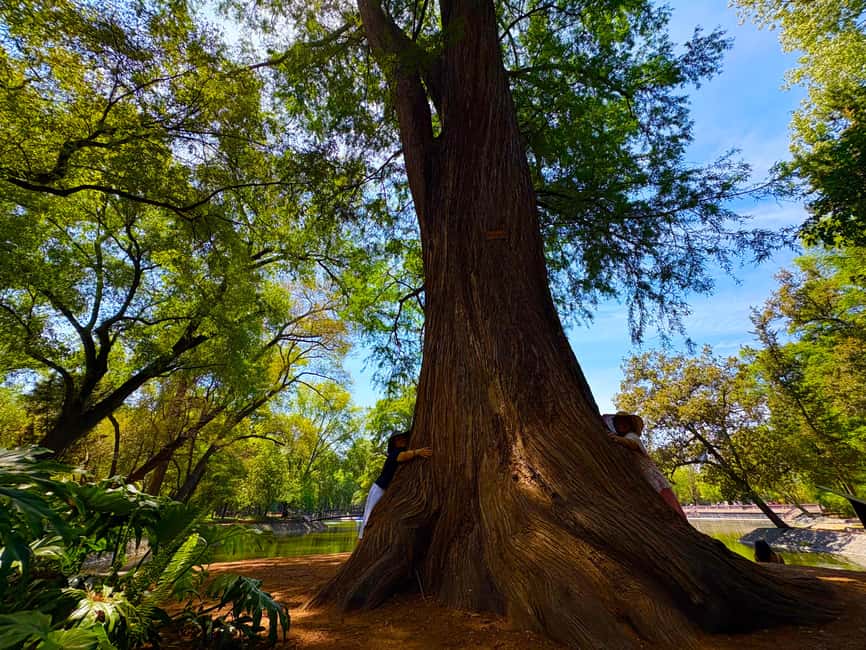 Mexico City: Chapultepec Castle and Forest Guided Tour - What to bring, and what to leave behind