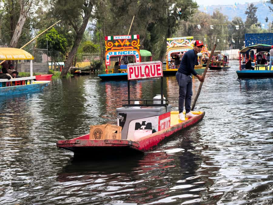 Mexico City: Expert-Guided Boat Tour with Lunch and Drinks - Food on a Chinampa Island: 4 Tacos, Pulque, and a Real Taste of the Region