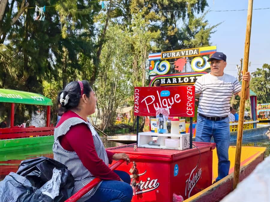 Mexico City: Expert-Guided Boat Tour with Lunch and Drinks - Meeting at Canal 237: Purple Arch, Black Cap, Pink Details