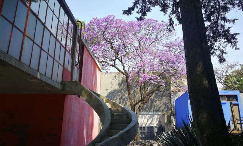 Mexico City: Frida Kahlo-Diego Rivera Studio House Tour - Key Things You Should Notice on This Studio House Tour