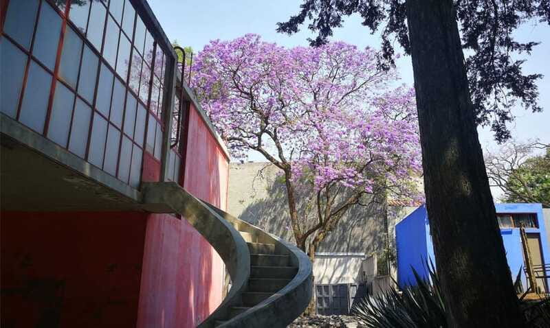 Mexico City: Frida Kahlo-Diego Rivera Studio House Tour - The Real Star is the Guide: Why Abe’s Style Makes It Click