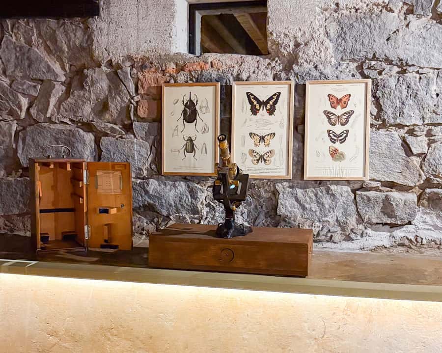 Mexico City: Frida Kahlo Museum or Casa Kahlo Entry - Digital guide in English and Spanish: how to use it well
