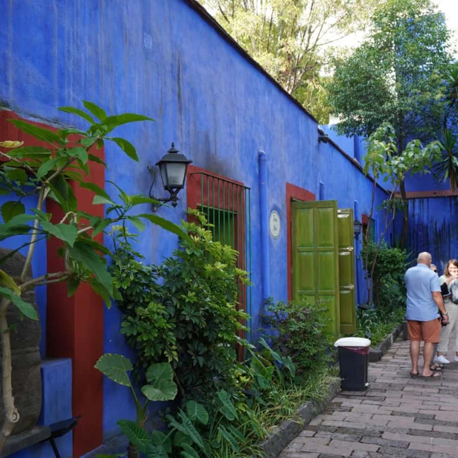 Mexico City: Frida Kahlo Museum Tour - Key things to know before you go