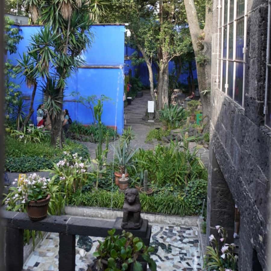 Mexico City: Frida Kahlo Museum Tour - Casa Azul is art, but also a life you can trace