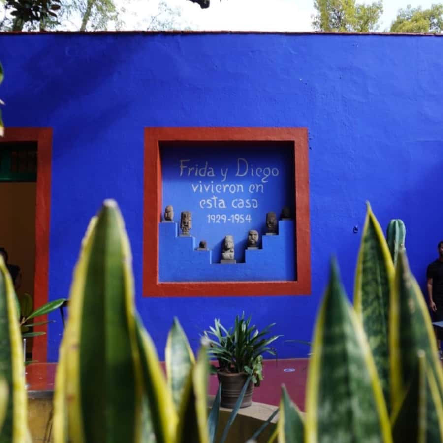 Mexico City: Frida Kahlo Museum Tour - Pricing and value: what $84 buys you