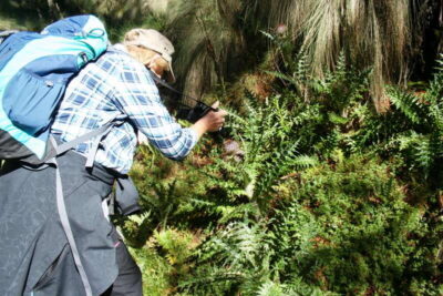 Guided Volcano Trek with Lunch
