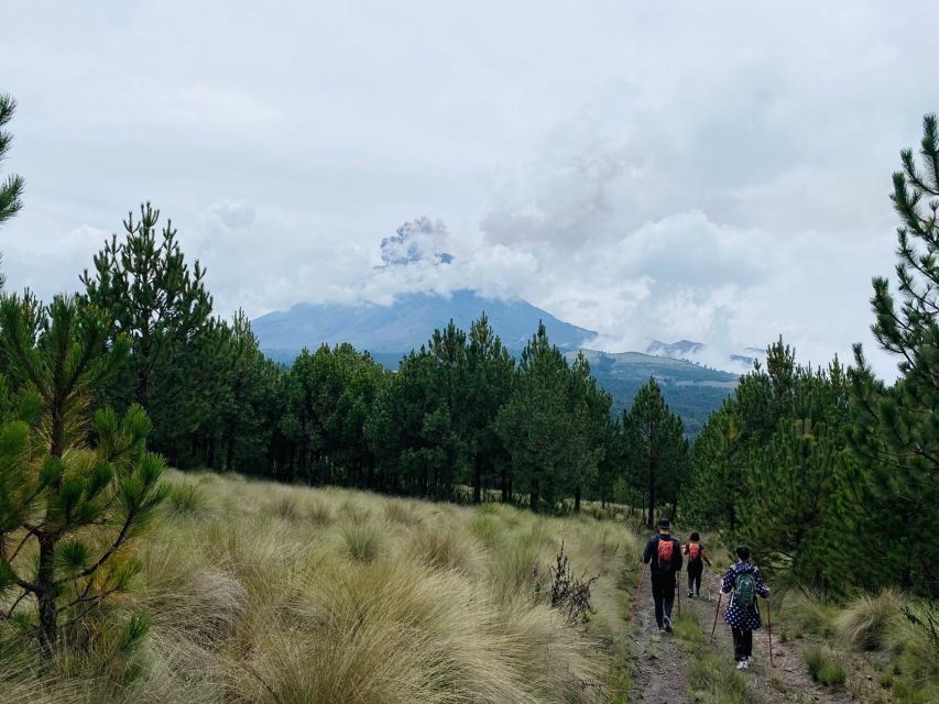 Mexico City: Guided Volcano Trek with Lunch - Who This Volcano Trek Suits Best, and Who Should Skip It
