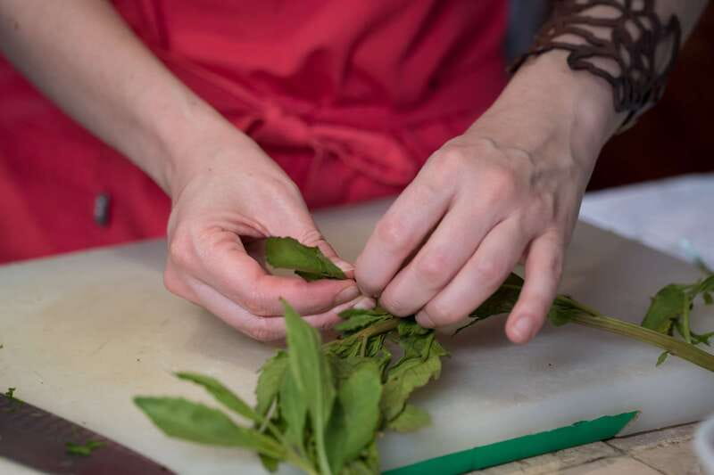 Mexico City: Mexican Cooking Class - Key Highlights to Know Before You Go