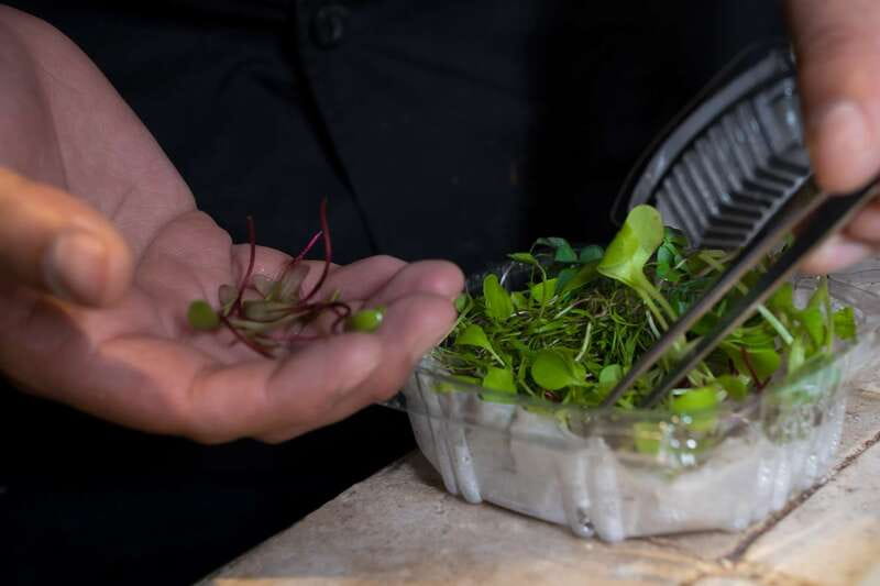 Mexico City: Mexican Cooking Class - What You Might Cook: Tortillas, Moles, Tamales, and More