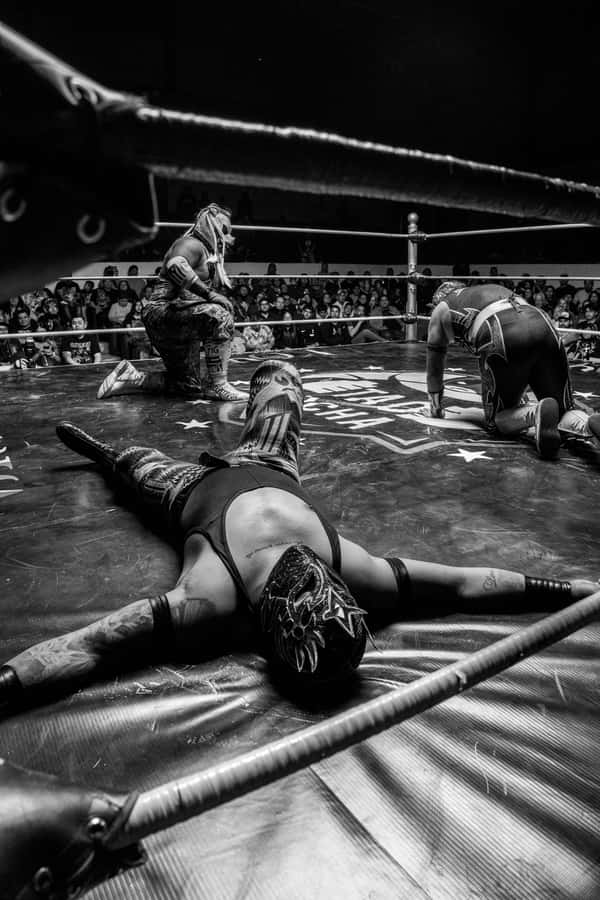 Mexico City: Mexican Evening, Lucha Libre and Tequila - Key highlights at a glance