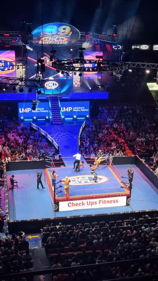 Mexico City: Mexican Evening, Lucha Libre and Tequila - Pulque and Tacos Stops: What Is Included, What Costs Extra