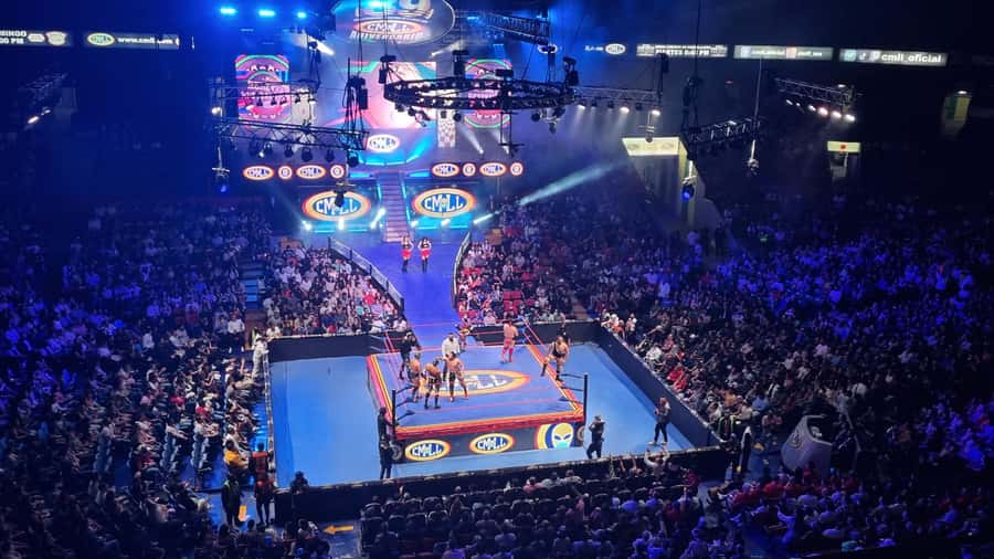 Mexico City: Mexican Evening, Lucha Libre and Tequila - Practical Stuff That Keeps the Evening Smooth