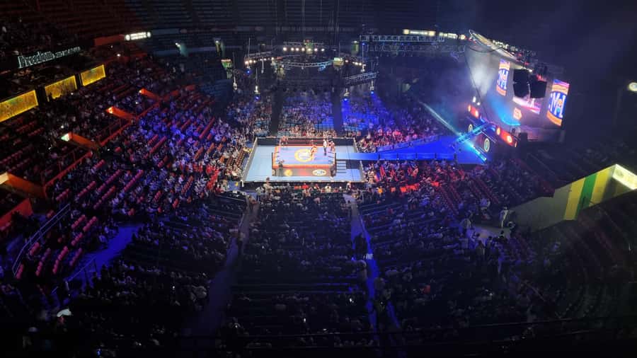 Mexico City: Mexican Evening, Lucha Libre and Tequila - Value for $68: Does It Add Up?