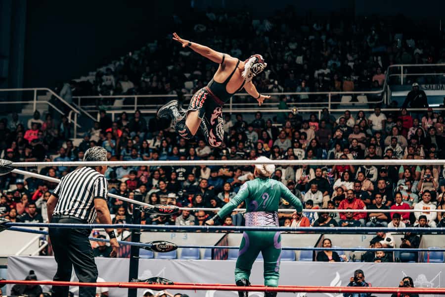 Mexico City: Mexican Evening, Lucha Libre and Tequila - The Cantina Start: Tequila and Mezcal With Mask Lore
