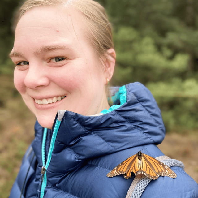 Mexico City: Monarch Butterflies, Sierra Chincua & Angangueo - Price and value: is $169 worth a 12-hour day?