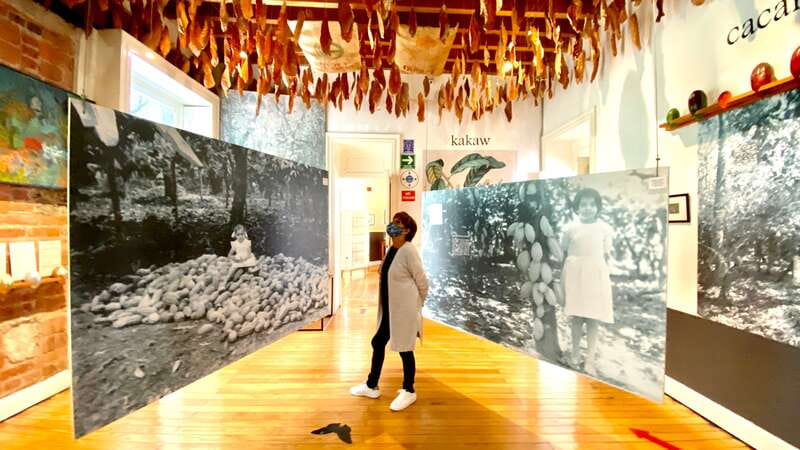 Mexico City: MUCHO Museum of Chocolate Entrance Ticket - The guided portion: where the interaction makes it click
