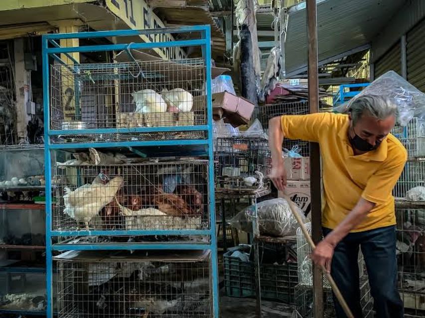 Mexico City: Mystic Markets La Merced & Sonora Culinary Tour - Practical tips I’d follow before you go