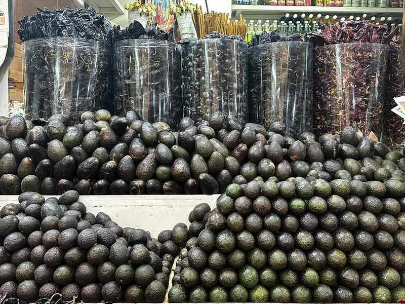 Mexico City: Old Town Food Tour of 7 Tastings & Secret Dish - Enchiladas with mole: where you learn to taste the sauce