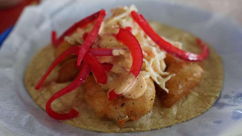 México City: Street Food to Home Cooking Food Tour - Who should book this Roma street food to home cooking tour