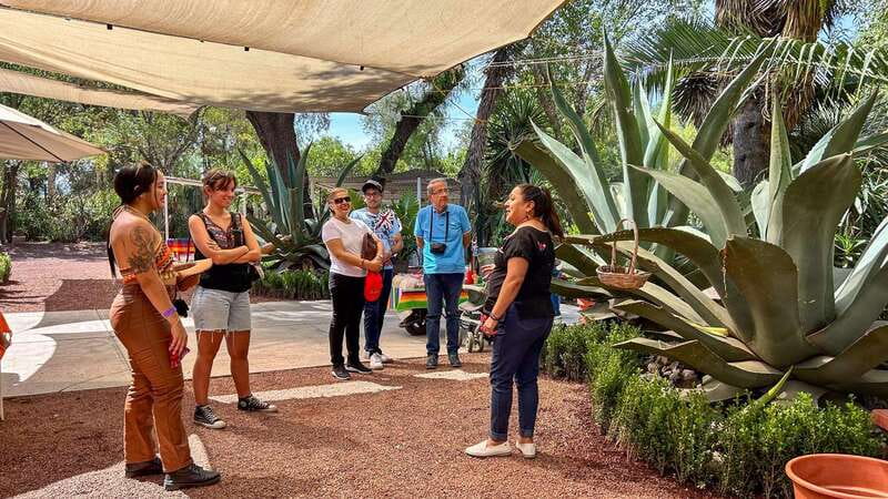 Mexico City: Teotihuacan, Tlatelolco & Basilica of Guadalupe - A full-day route through Mexico City’s ancient and spiritual Mexico