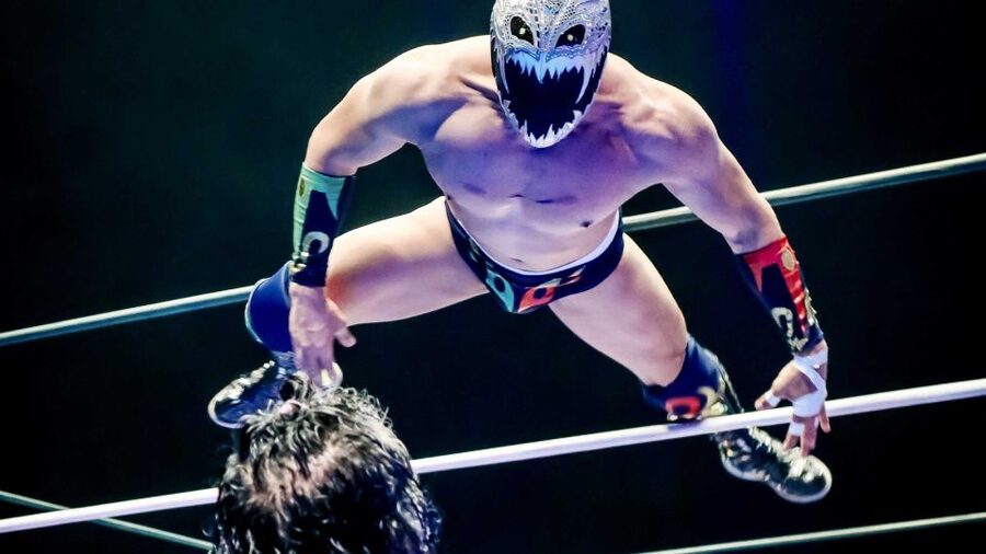Mexico City: Turiluchas Amazing Wrestling Show - Price and value: what you get for about $67
