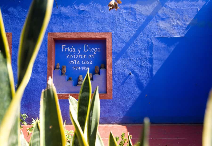 Mexico City: Xochimilco and Coyoacán Tour with Frida Kahlo Museum Option - FAQ