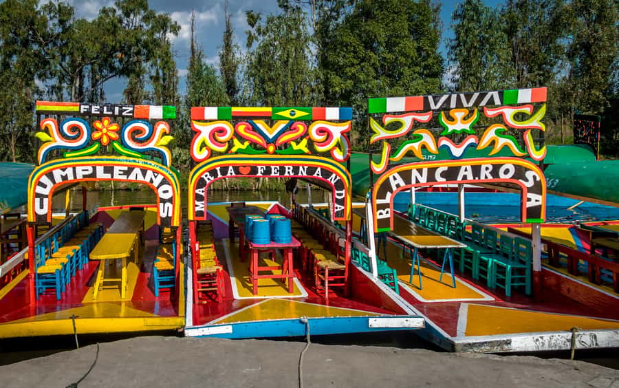 Mexico City: Xochimilco and Coyoacán Tour with Frida Kahlo Museum Option - Coyoacán cobblestones, squares, and the walking tour feeling