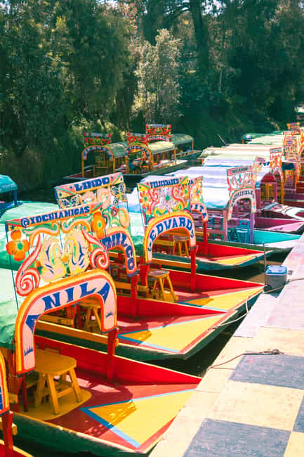 Mexico City: Xochimilco Boat with Guacamole & Premium Drinks - Two Hours on a Trajinera: How the Cruise Feels in Real Life