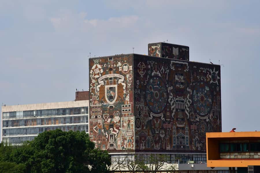 Mexico City: Xochimilco, Coyoacan & Frida Kahlo with Lunch - The Frida Kahlo museum decision: Blue House vs Casa Kahlo
