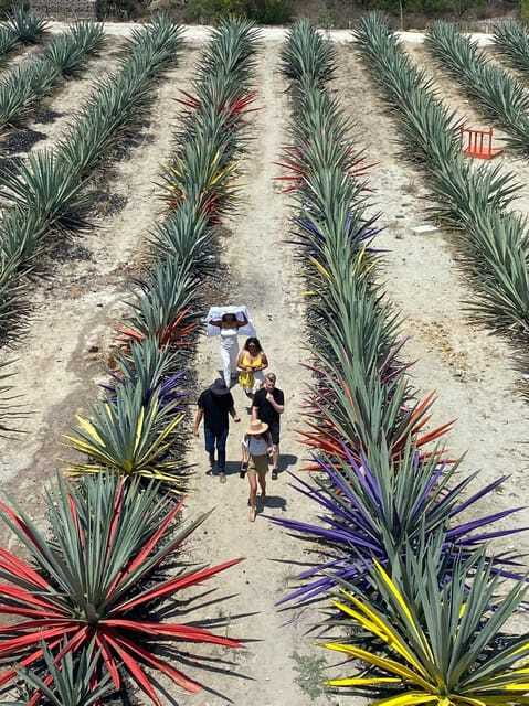 Mezcal Tour Oaxaca - What to Bring, and What the Rules Mean in Real Life