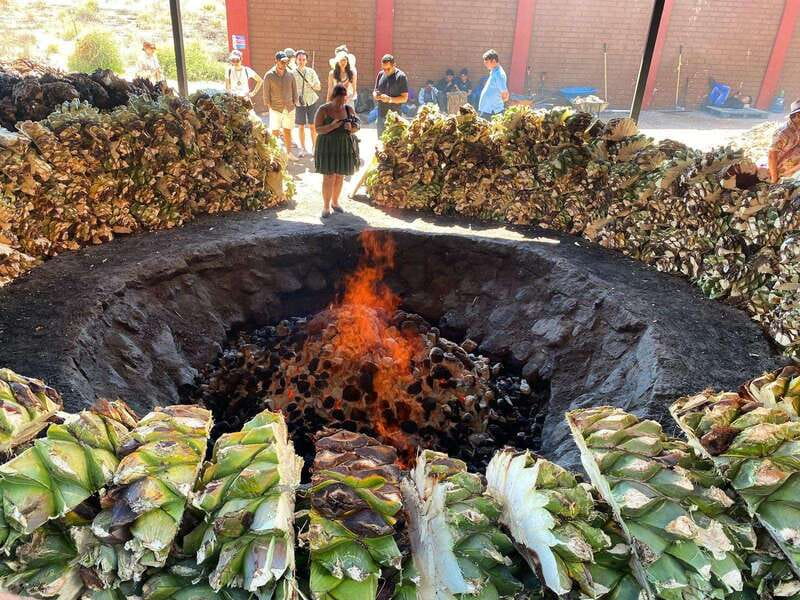 Mezcal Tour Oaxaca - Starting at Reforma 403, and the First Hour That Sets the Tone