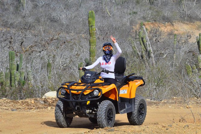 Migriño Beach & Dunes off-road Tour ATV - Who This Works Best For in Cabo