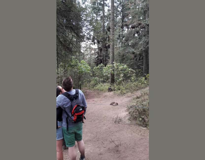 Monarch Butterfly - Guide style, group pace, and how to get the most out of the hike