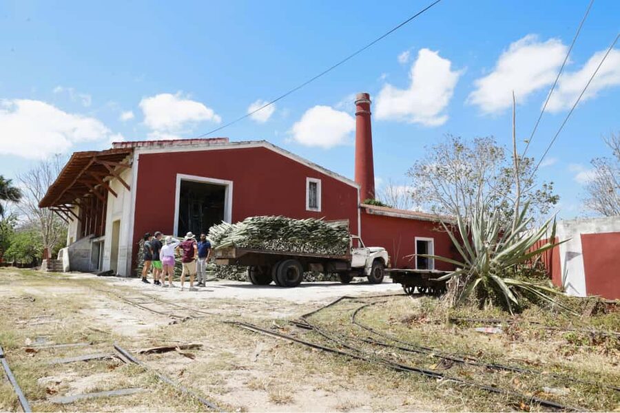 Motul, Hacienda, Xcambo, Pink Salt Mine & Progreso Day Trip - Ixtampú Pink Pond: Why the Water Looks Like That