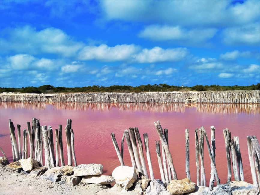 Motul, Hacienda, Xcambo, Pink Salt Mine & Progreso Day Trip - Who Should Book This Tour, and Who Might Skip It