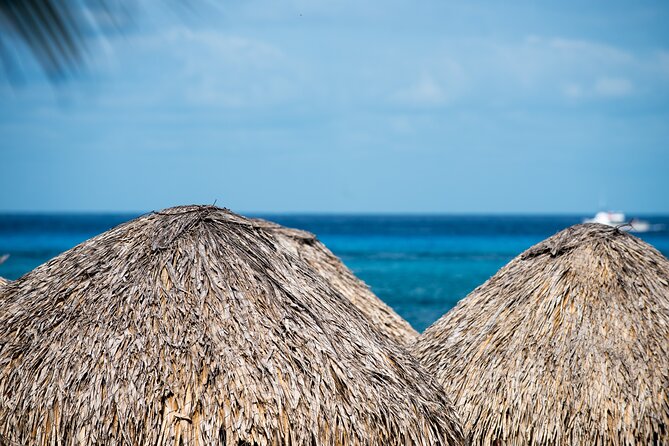Mr. Sanchos Beach Club All-Inclusive Day Pass - On-Site Extras (Sometimes With Extra Fees)