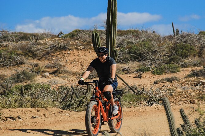 New Attraction: Guinness World Record Sky Bike in Los Cabos - Playa Migriño: the beach stop with real seasonal variety