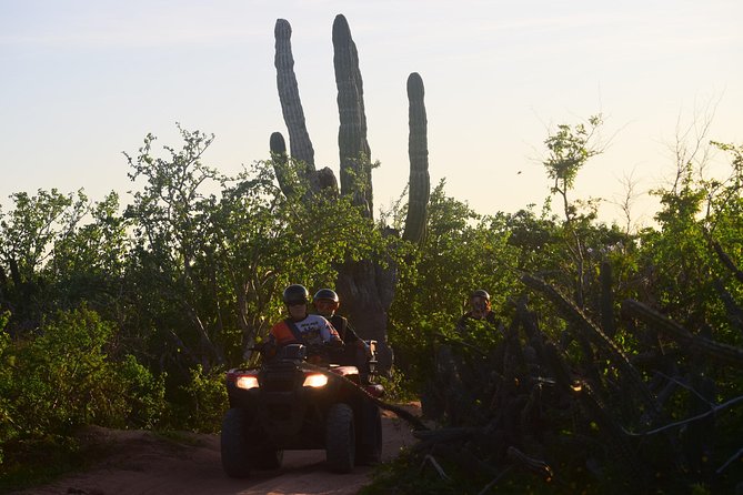 New!!! Extreme Beach & Desert Off-Road Atv Experience… - Is this tour worth $80? My value check