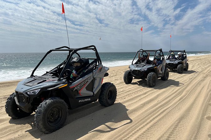 New!!! Kids Off Road Experience Automatic Mini RZR Beach & Desert - Pickup, Tickets, and How to Plan Your Day in Cabo