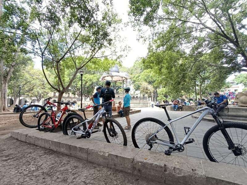 Oaxaca City: Bike Tour with Professional Guide+Art workshop - Panteon General, a cultural stop that teaches more than you expect