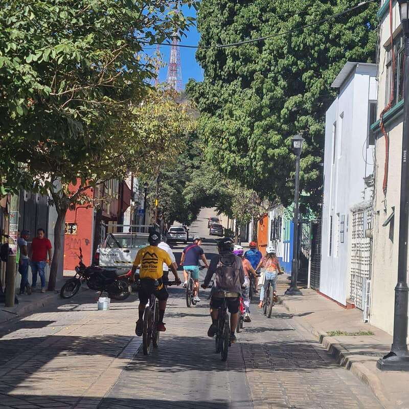 Oaxaca City: Bike Tour with Professional Guide+Art workshop - Basílica de Nuestra Señora de la Soledad, finishing with another sunset stop