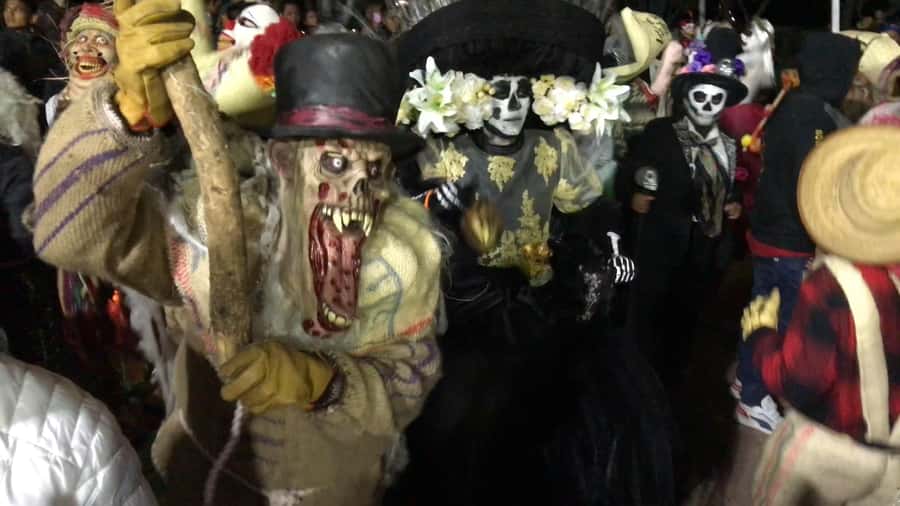Oaxaca: Day of the Dead Tour - Price and Value: What $75 Buys in Real Terms