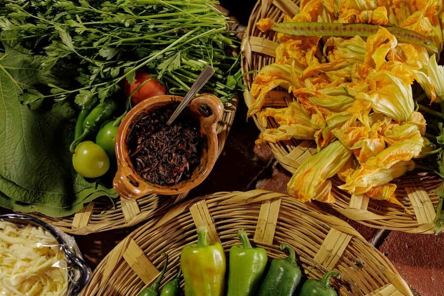 Oaxaca de Juarez: Traditional Oaxacan Cooking Class - Garden Ingredients, Quesillo, and Fresh Cheese Prep