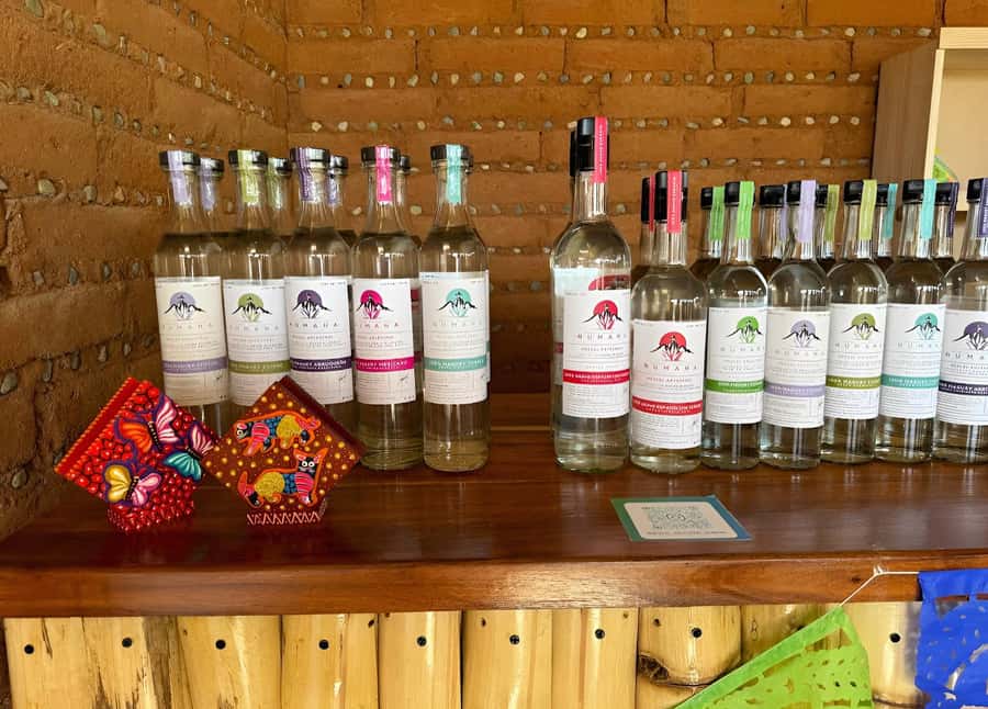 Oaxaca: full-day tour of Monte Alban, ancestral mezcal, alebrijes, and black mud - Monte Albán first: ruins, stories, and a morning pace you can handle