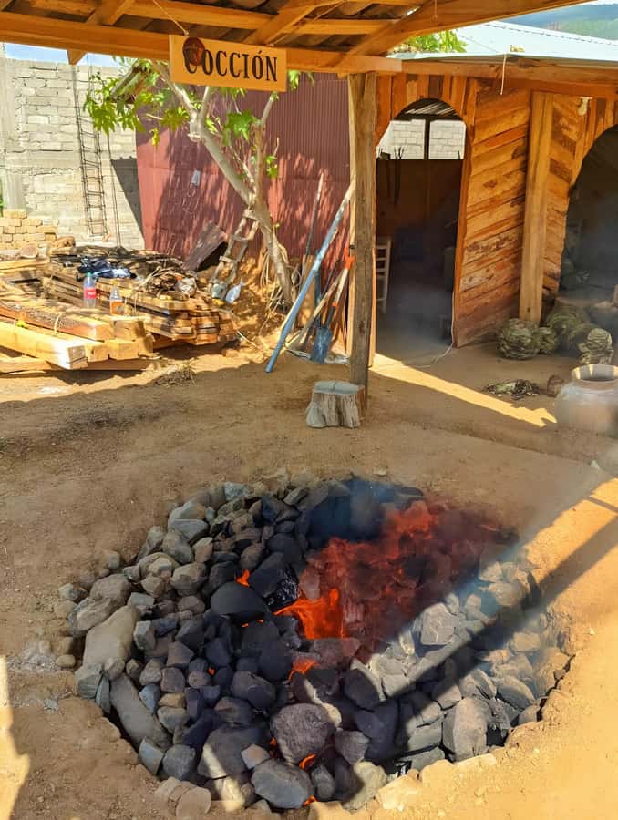 Oaxaca: full-day tour of Monte Alban, ancestral mezcal, alebrijes, and black mud - Alebrijes in San Antonio Arrazola: art you can watch being made